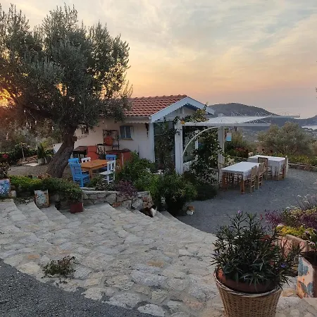 Mavi Kelebek Hotel *