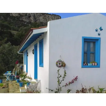 Mavi Kelebek * Datça