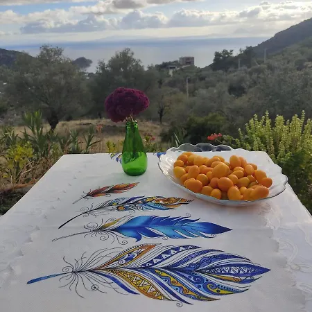 Mavi Kelebek Datça
