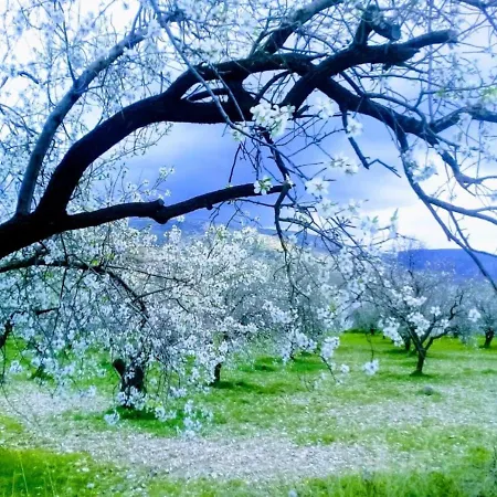 Mavi Kelebek Hotel *