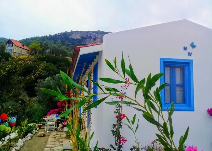 Mavi Kelebek * Datca