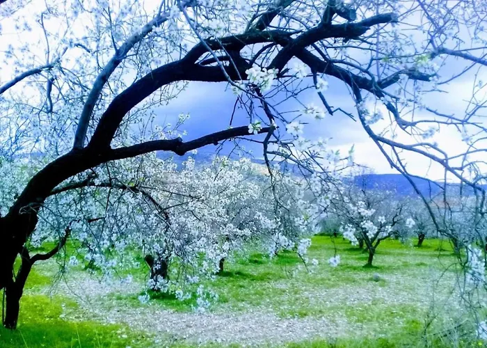 Mavi Kelebek Szálloda *