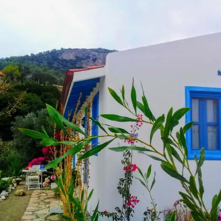 Mavi Kelebek * Datça