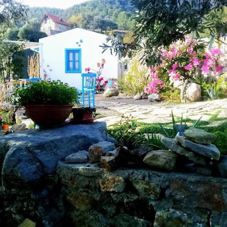 Отель Mavi Kelebek *