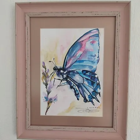 Mavi Kelebek Hotel *